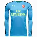 Вратарская форма Арсенал Гостевая 2016/2017 Лонгслив 3XL(54)