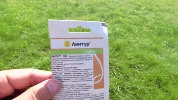 🔴🔴Отличный газон с помощью гербицида. Гербицид Линтур.