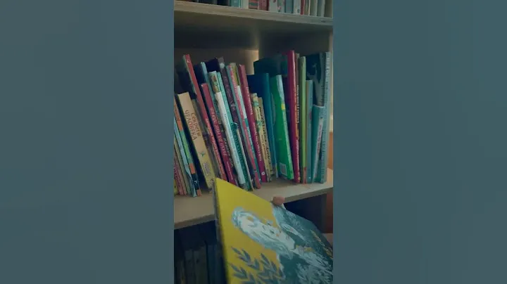 Вместительный стеллаж для книг ONIANI.RU